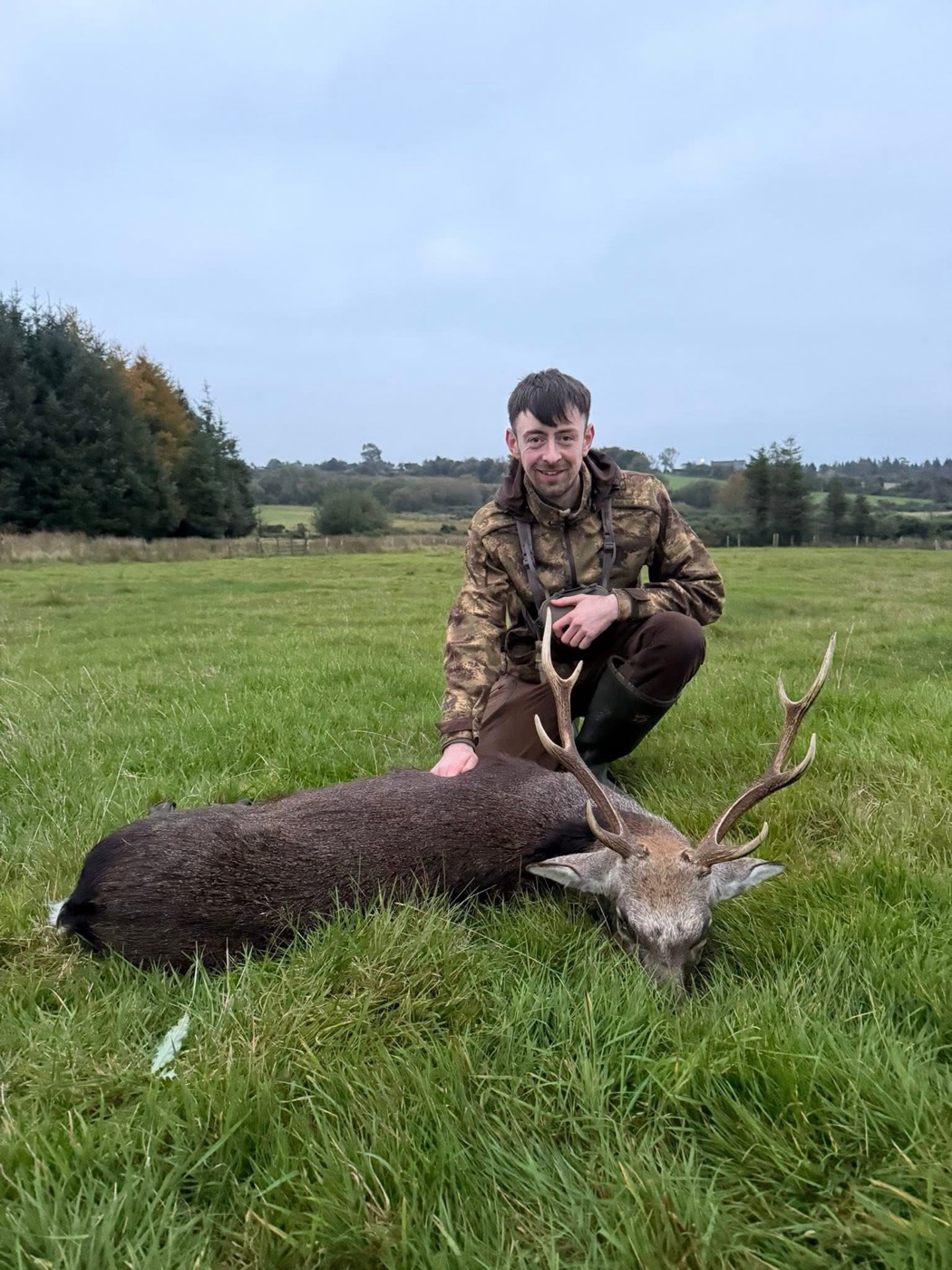 Sika Stag Hunt